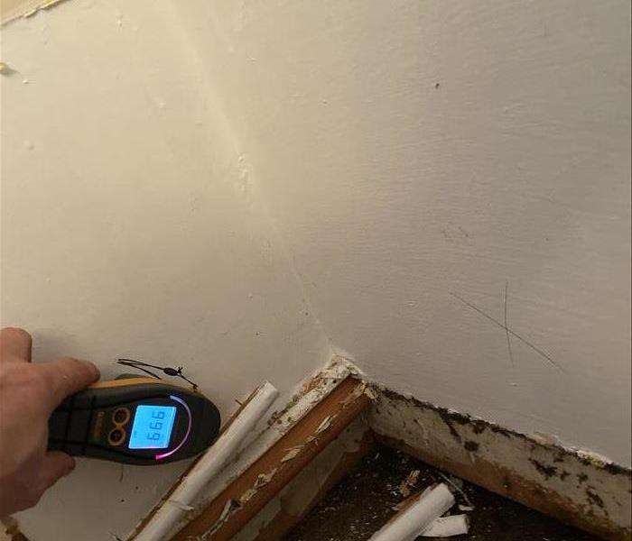 Picture of a hand holding a moisture meter on white wall.