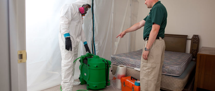 Garden Grove, CA mold removal process